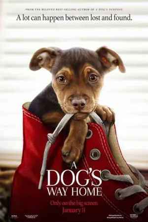 A Dog's Way Home (2019) เพื่อนรักผจญภัยสี่ร้อยไมล์